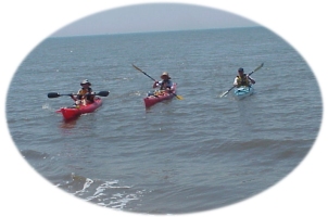 The Paddlers